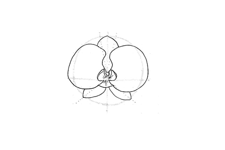 兰花花朵简笔画画法步骤-图4