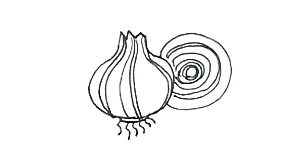 步骤5：然后在圆里面画上一圈圈的圆环。