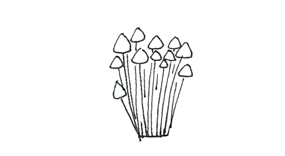 步骤5：中间再加上一点装饰线条。