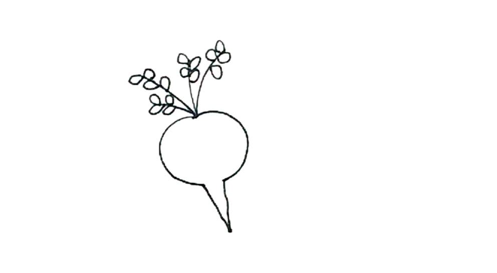 步骤4：接着在弧线上画上椭圆形的小叶子。