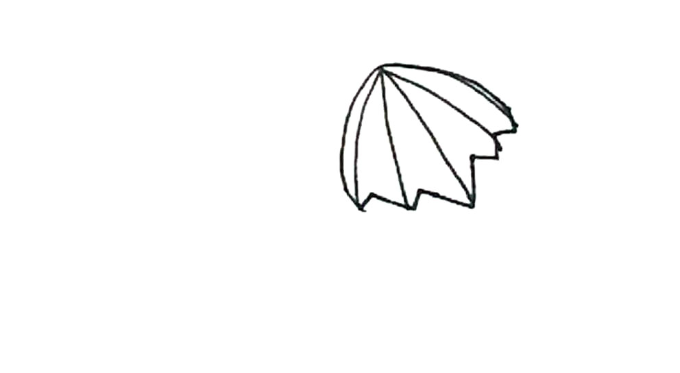 步骤3：在里面再画上几条弧线作为纹理。