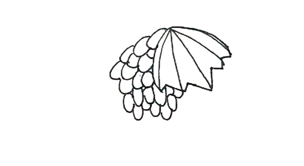 步骤5：再接着画出第二层的提子，比上一层少一些。