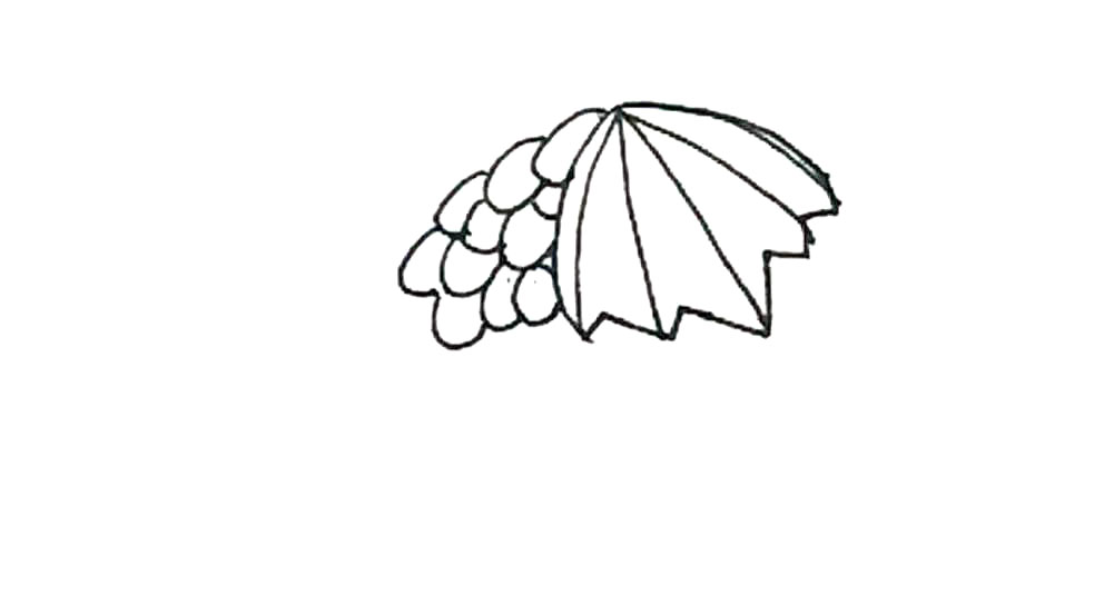 步骤4：接着在旁边用椭圆形画出提子的第一层，这一部分提子多，大一些。