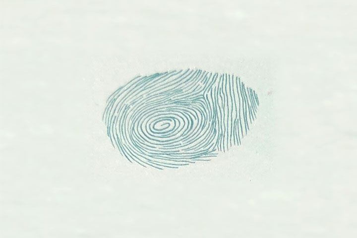 步骤1：用大拇指的指肚印一个大大的指印。