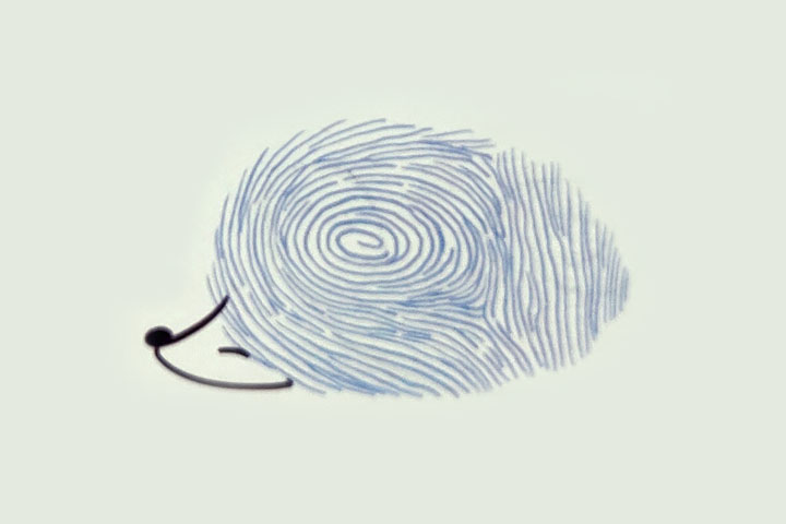 步骤2：画脸、鼻尖和眼睛。