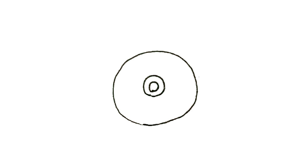 步骤2：接着里面画上两个圆环。