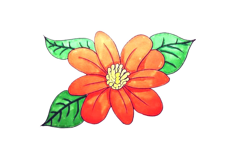 花朵简笔画画法步骤