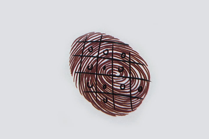 步骤2：画几条交叉线，画表面的小疙瘩。