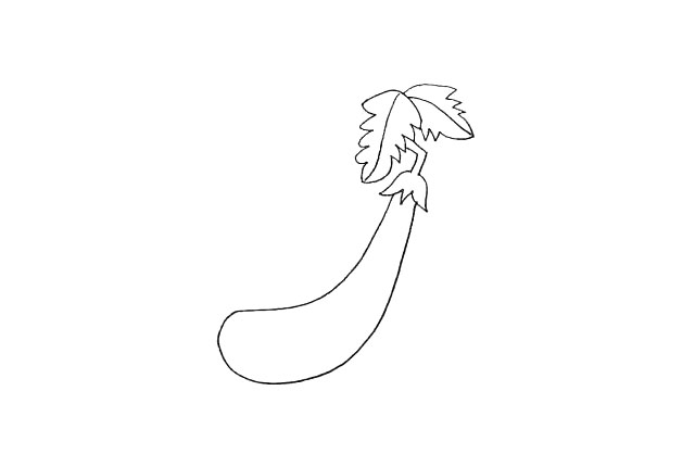 步骤4：画出一个弯弯长长像月牙形的茄子。