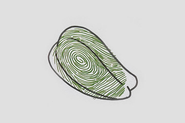 步骤2：先把最外面的轮廓勾出来，再画两条线。