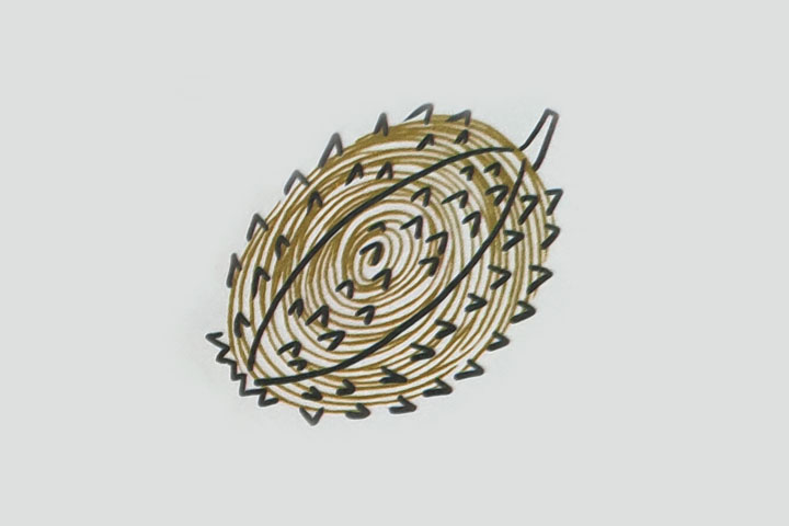 步骤3：继续把剩下的小疙瘩填满。