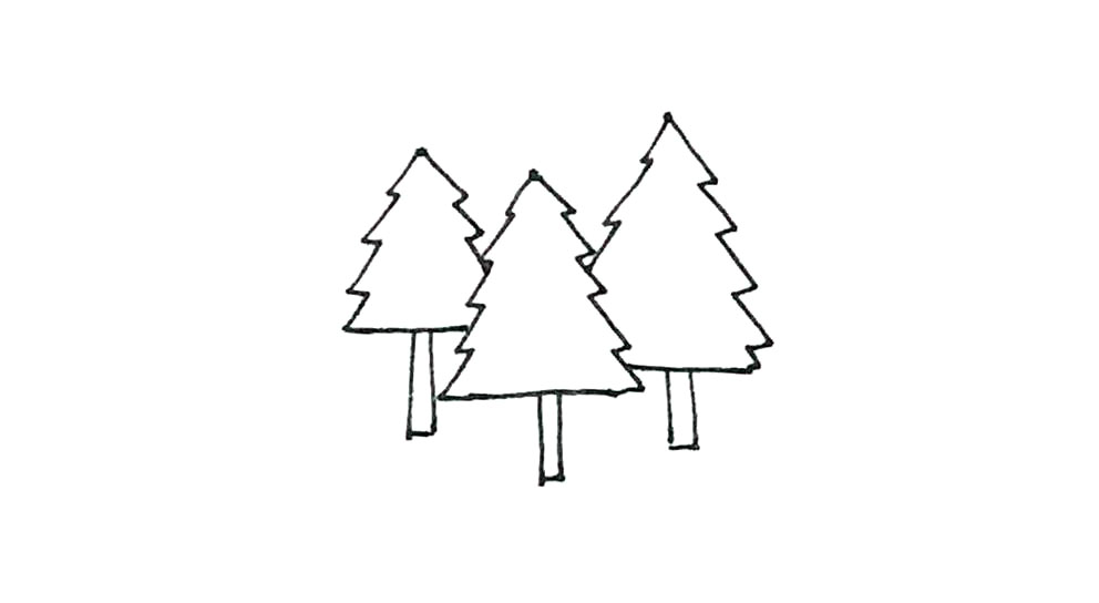 步骤6：下面也画上树干的形状。