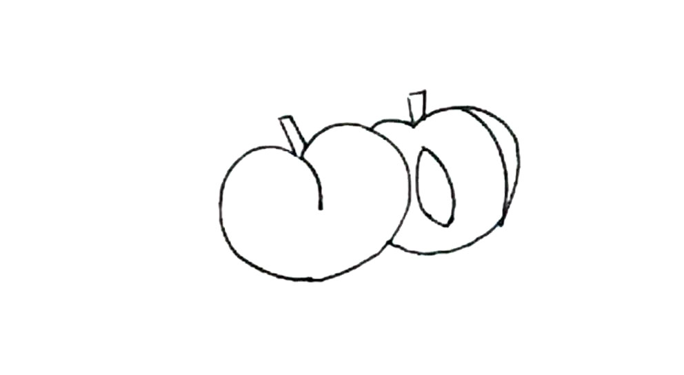 步骤4：接着在弧线上画上椭圆形的小叶子。