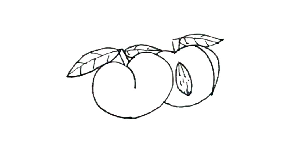 步骤6：后面，用同样的方法再画上一个大红萝卜。