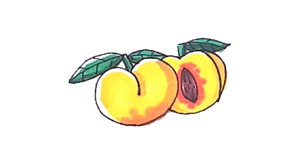 黄桃简笔画画法步骤