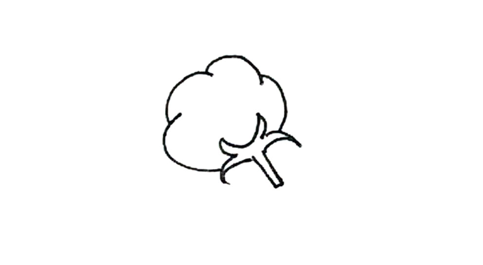 步骤4：上面，再用弧线画出棉花的感觉。