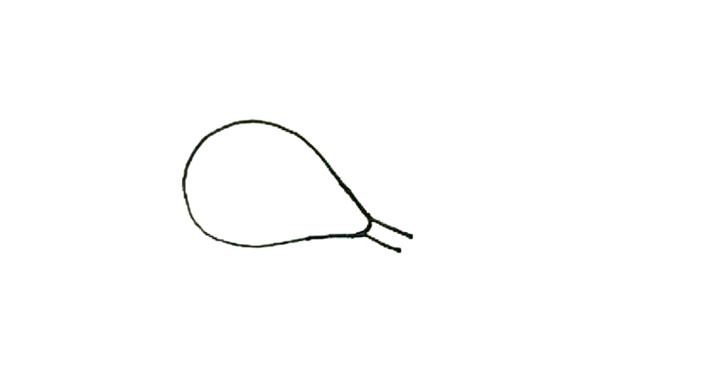 步骤2：然后画过来两条横线。