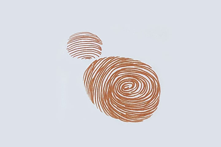 步骤2：用指尖印出圆形的头。