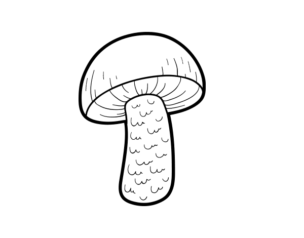 野生蘑菇简笔画图片-图2