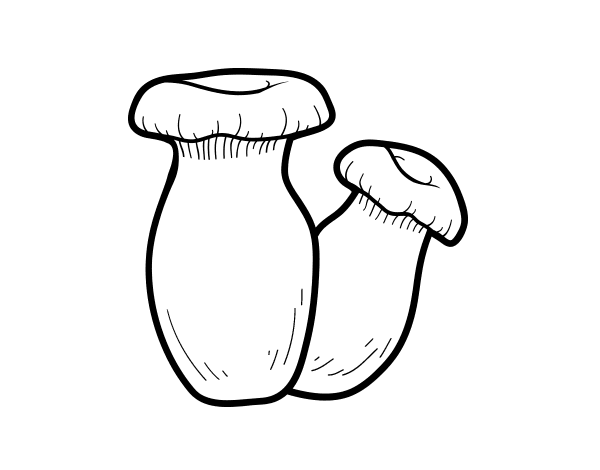 野生蘑菇简笔画图片-图3