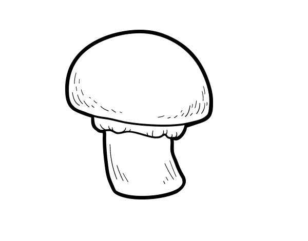野生蘑菇简笔画图片-图6
