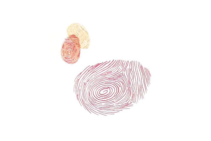 步骤2：用自己的指肚印一个小的指印作头和嗉囊。