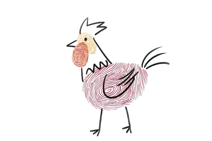 步骤4：最后画爪子、翅膀和身体各部分的羽毛。