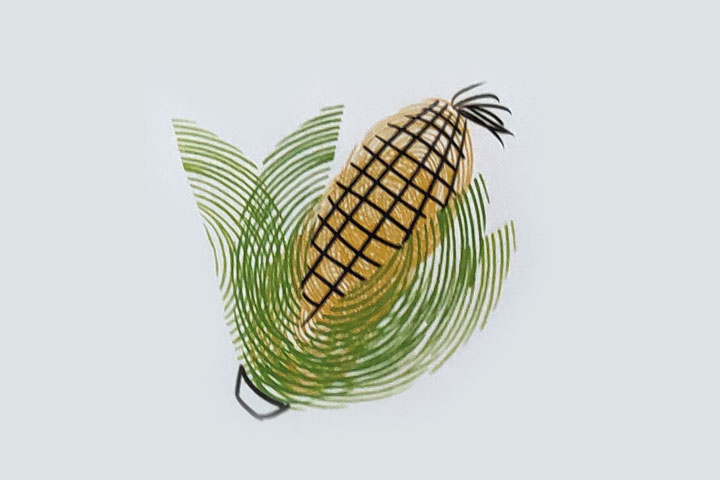 步骤4：画玉米粒和玉米须。