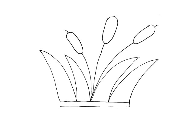 步骤6：同样的还有另外两朵漂亮的芦苇花。