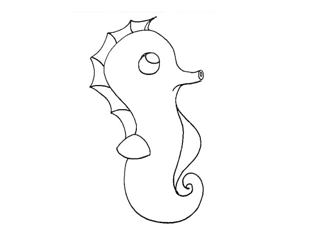 步骤8：用线条和曲线画出头上的鳍.要注意细节。