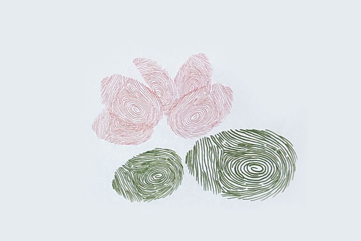 步骤2：继续印指印作花瓣，再印两个稍大的指印作荷叶。