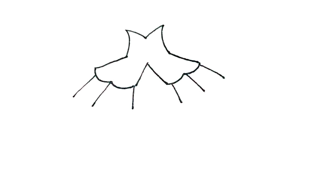 步骤4：下面，在两边各画出去三条斜线。