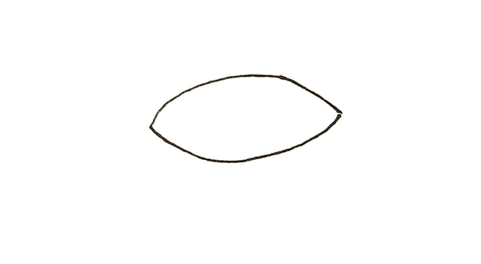 步骤1：先画上两条弧线，形成两头尖的椭圆形。