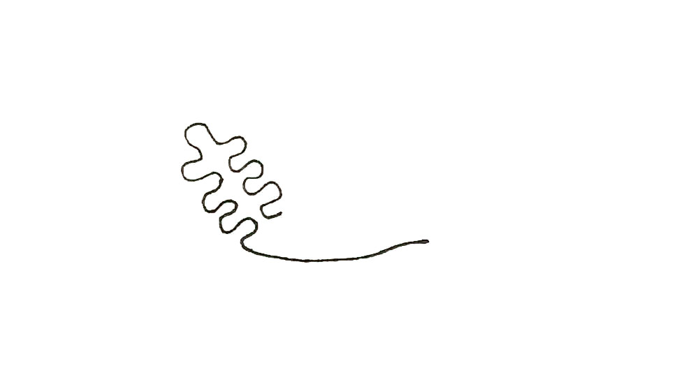 步骤3：然后用这样的曲线画出一根珊瑚。