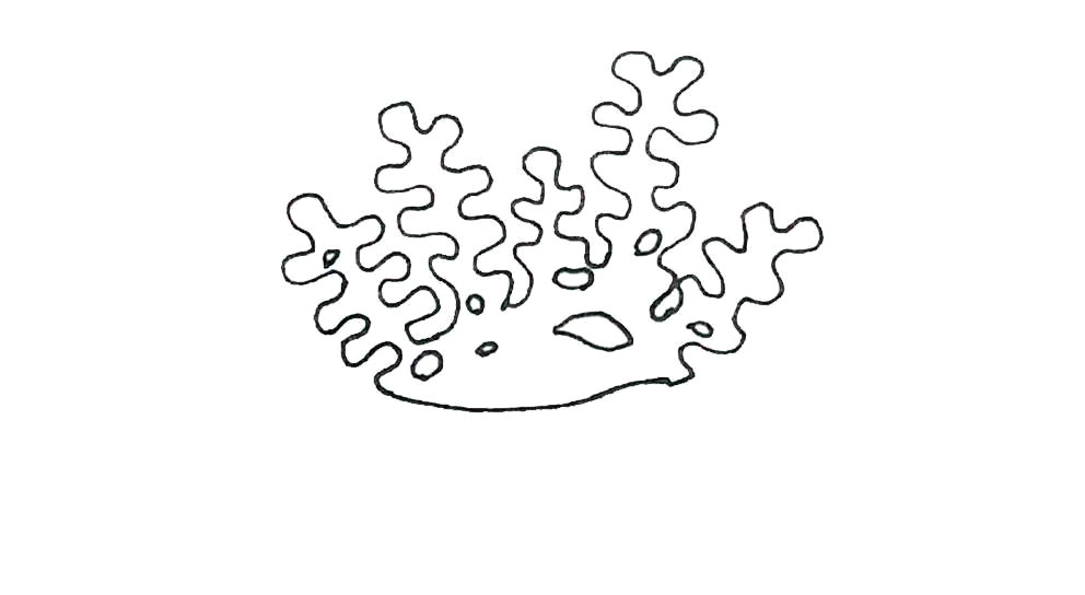 步骤5：然后在里面画上一些大小不一的空洞。