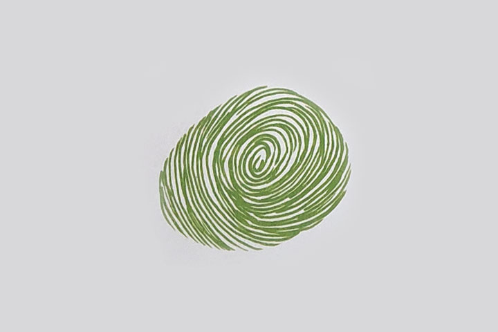 步骤1：印一个大的指印作完整的西瓜外形。