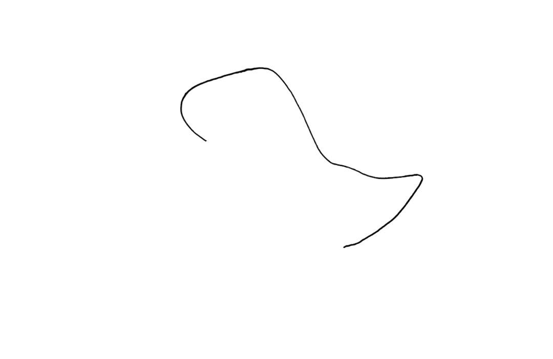 步骤1：首先画一条曲线作为恐龙头部和背部。