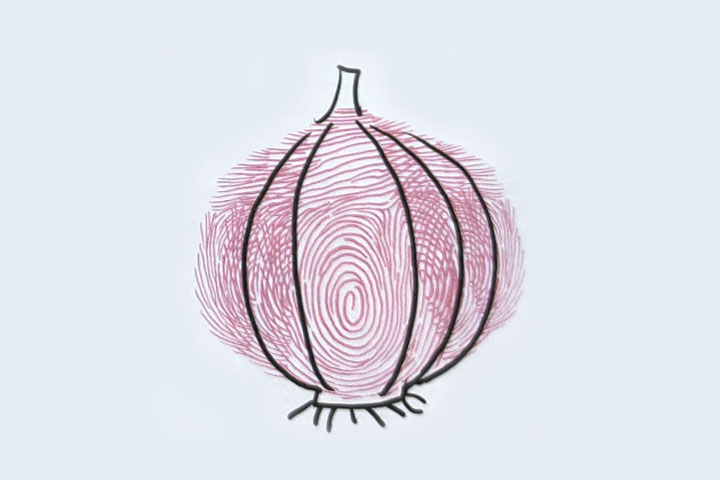 步骤4：画洋葱瓣、蒂和根须。