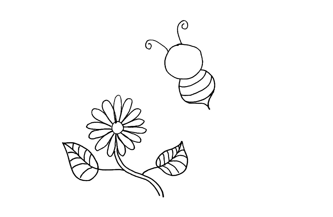 步骤7：用曲线画出身体上的纹理.以及头顶的触角。