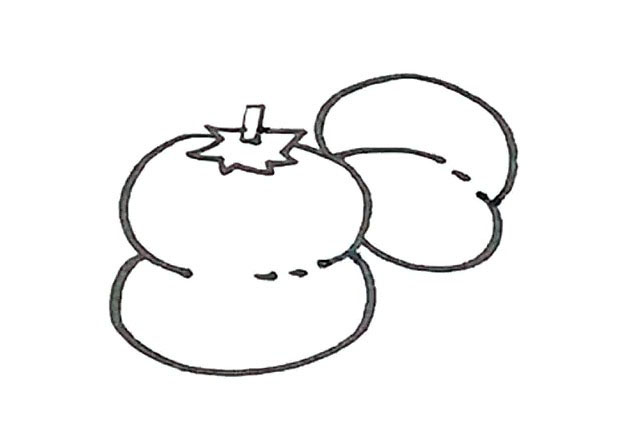 步骤6：再画上一个椭圆形形成柿子的外形。