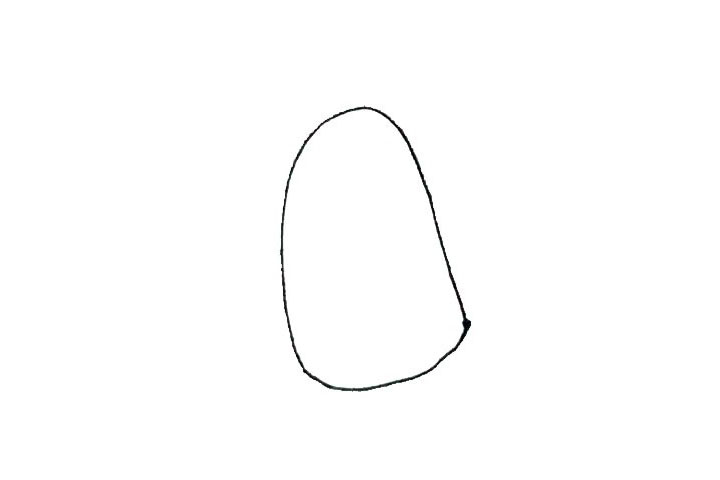 步骤1：先画出半个椭圆形，用弧线连起来。