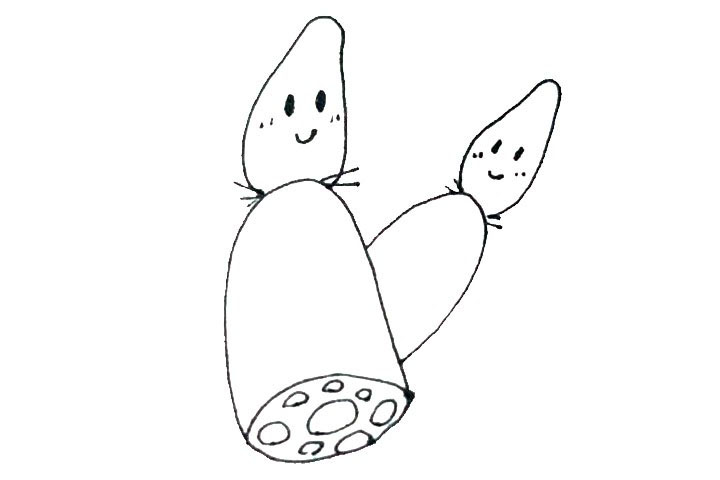 步骤5：用同样的画法在旁边画上另一个小莲藕。