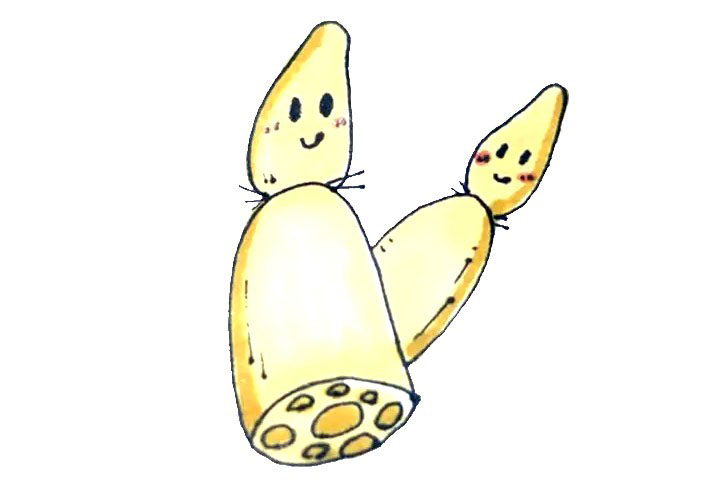 莲藕简笔画画法详解