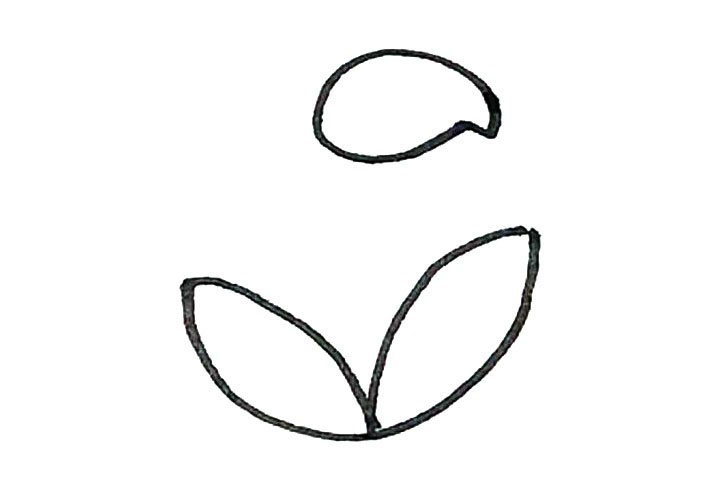 步骤2：接着在上面画出两条弧线连接起来，注意边边处有个小尖角。