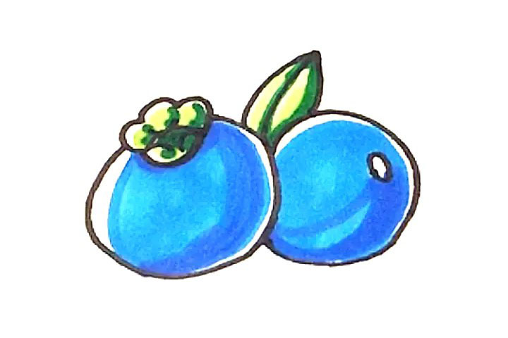 蓝莓简笔画画法教程