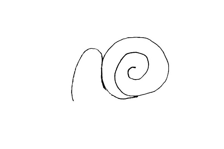 步骤2：在壳的前面，画上半个椭圆形，稍微长一些。