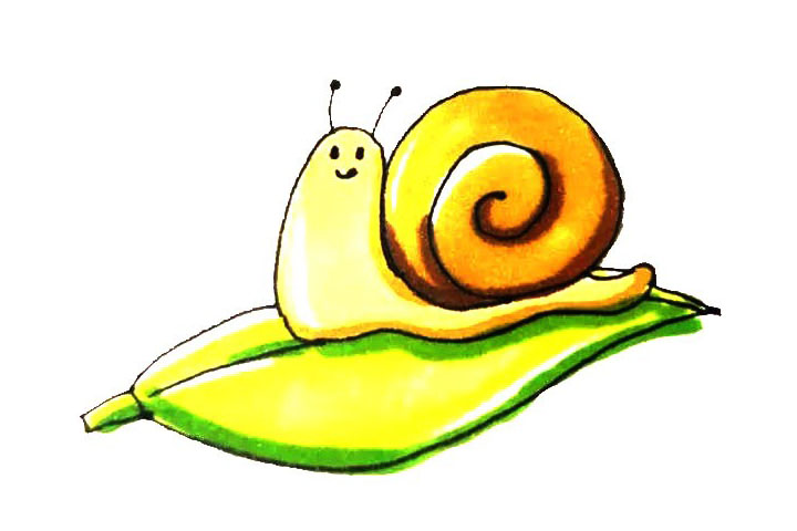 蜗牛简笔画画法步骤