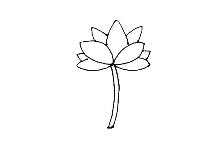 步骤4：在花朵的下面，画上两根弧线，作为荷花的枝条。