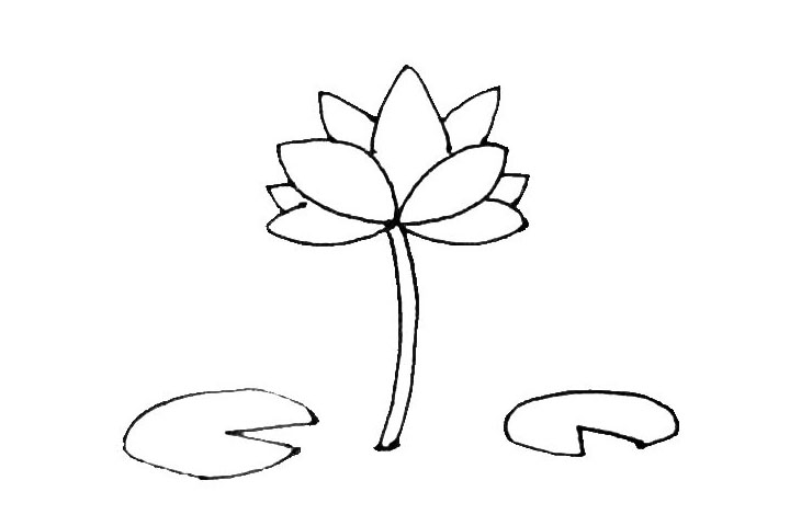 步骤5：在花朵的旁边，再画上几片有三角形缺口的椭圆形作为荷叶。