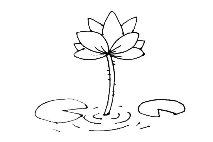 步骤6：枝条旁边用弧线画出一些水波，以及在枝条和花瓣上加上一些纹理细节。